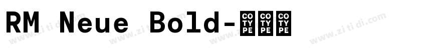 RM Neue Bold字体转换